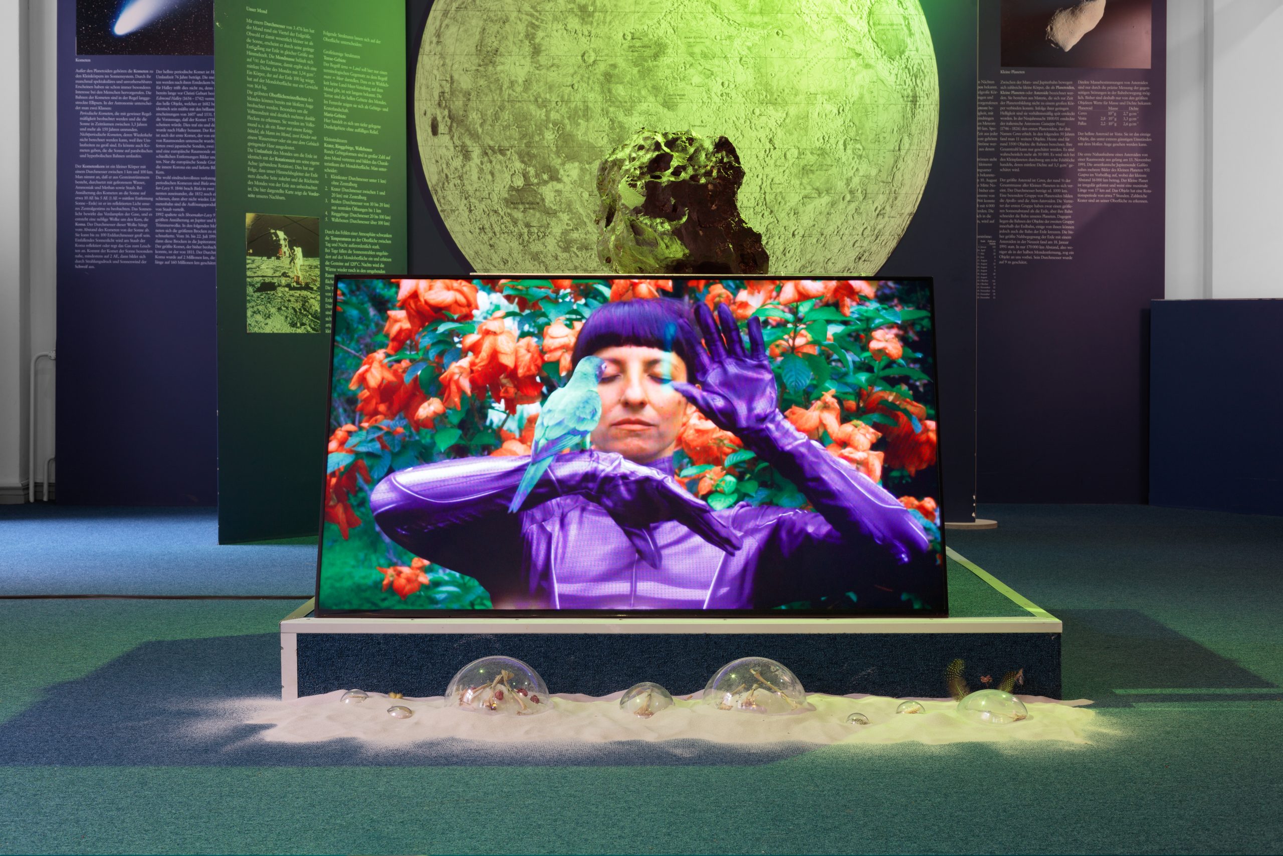 Futuring Otherwise: Curating in the Anthropocene